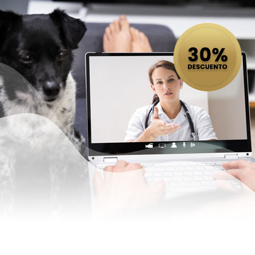 30% de descuento en Videoconsultas